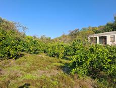 Покос травы 