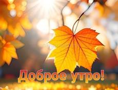 Сниму квартиру 