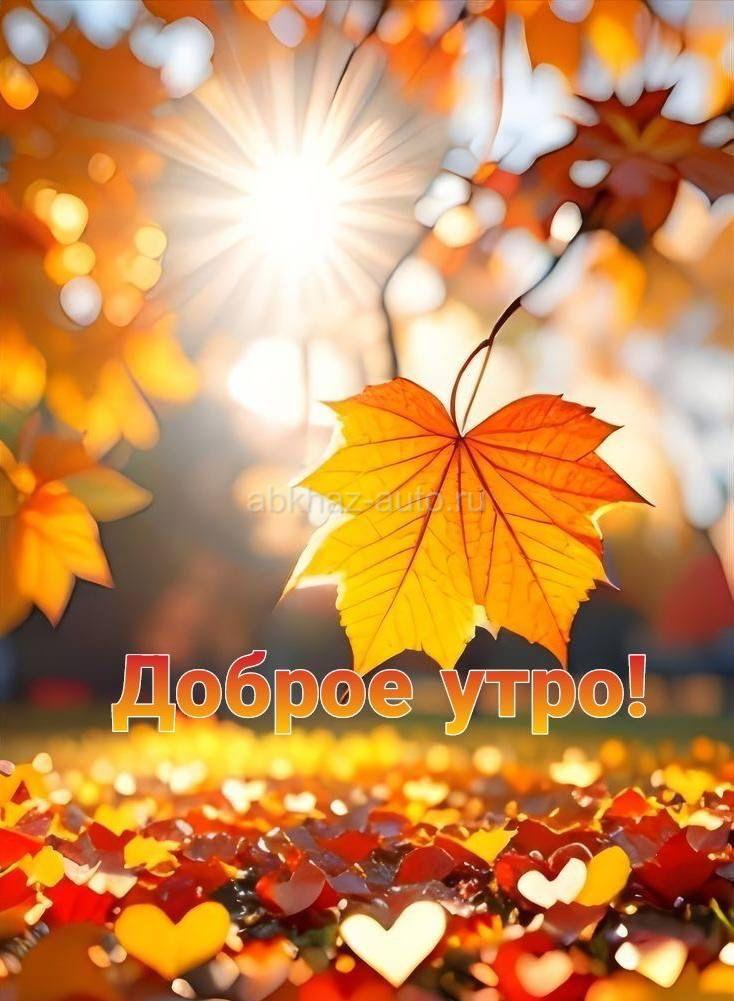 Сниму квартиру 