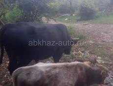 Продаю срочно!!!