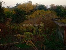 Дом с участком