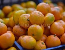 ПРОДАЮ МАНДАРИНЫ!!!