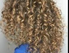 БЕСПЛАТНО!!!