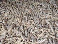 Этого года кукуруза 