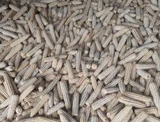 Этого года кукуруза 