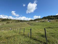 Очень Срочно🔥🔥🔥 45 сот. 