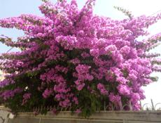 Утеряны документы