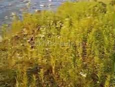 Земельный участок Турбаза