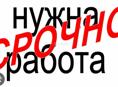 Ищу работу!
