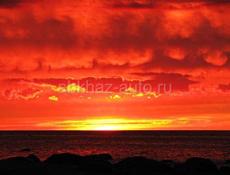 Пойдём на сбор мандаринов!