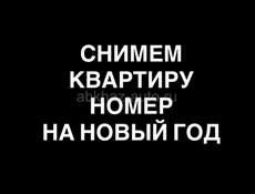 Снимем квартиру/номер на новогодние