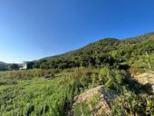 Земельный участок 6 соток с.Псахара ул.Виноградная 