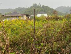 Земельный участок 6 соток с.Псахара ул.Виноградная