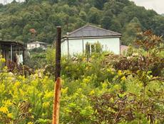 Земельный участок 6 соток с.Псахара ул.Виноградная