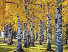 Сдам комнату непьющим 