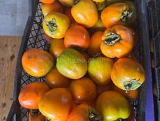 Куплю хурму 