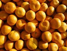 Продаем мандарины собранные