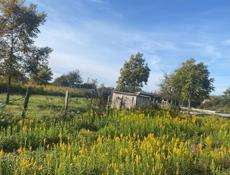 Маяк 6 соток . 1🍋