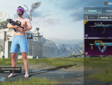 Аккаунт в пабг 