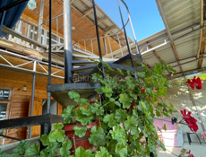 Гостевой дом 