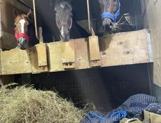 Бамбора участок 