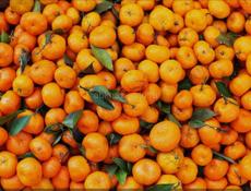 Средние и большие .