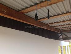 Жёлоч медвежий