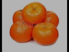 В поисках работы!