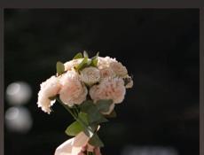 Свадебный фотограф 