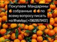 Мандарины 🍊 