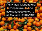 Мандарины 🍊 