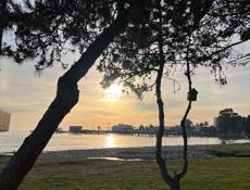 Хочу приобрести оборудование для маникюра