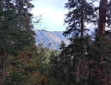 Сниму дом на длительный срок 