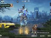 Пабг аккаунт 