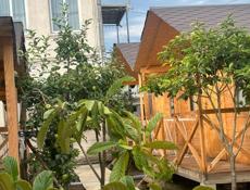 Сдам коттеджи 3-х местные 