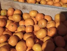 Мандарины ранний 