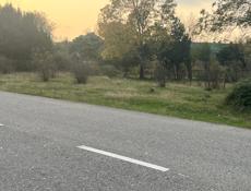 Продается земельный участок на Бзыбском ущелье (20сот)