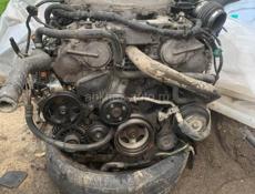 В разборе фуга