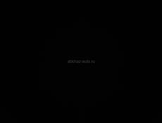 Сдаю квартиру