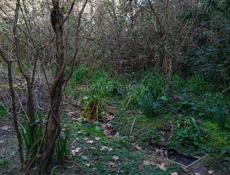 Участок в центре 