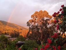 Сдаётся жильё 