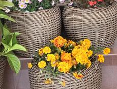 Кашпо и корзины из ротанга