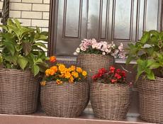 Кашпо и корзины из ротанга