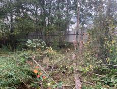 Продается 12 +соток