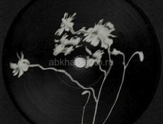 Сниму длительно . 