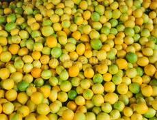 Лимони по 50р 