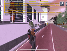 Блек раша жир акк