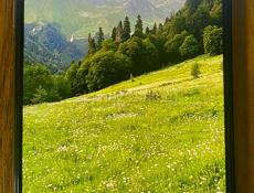 Айфон 11 про макс