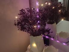 Продажа вазоны из бетона и различных форм из гипса