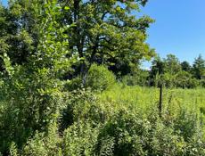 Продам Земельный участок! Собственник! Гулрыпш!